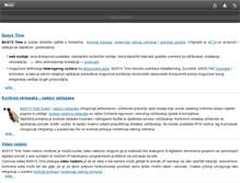 Tablet Screenshot of basystime.com